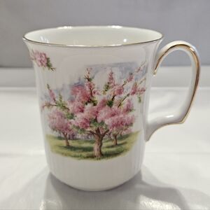 "Blossom Time" Mug by Royal Albert.